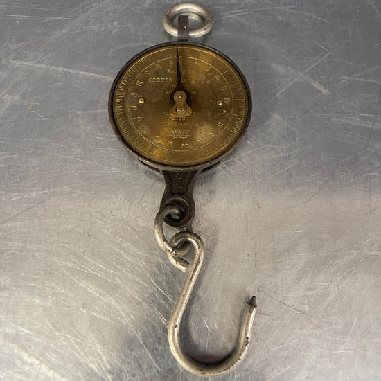 Hanging scale Qty 1